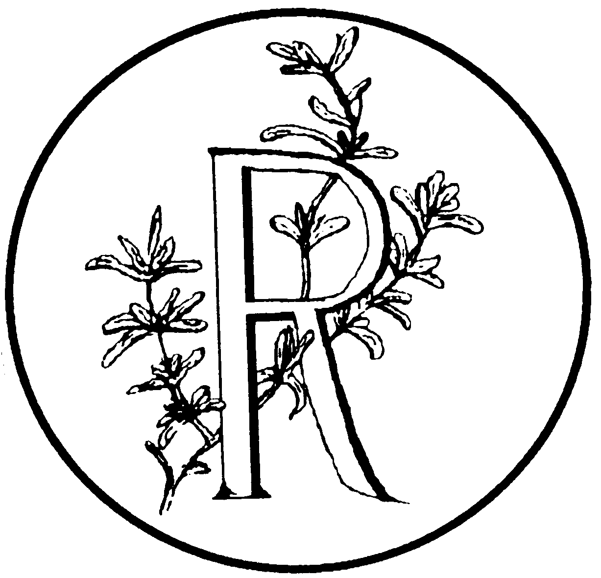 Organisation Logo